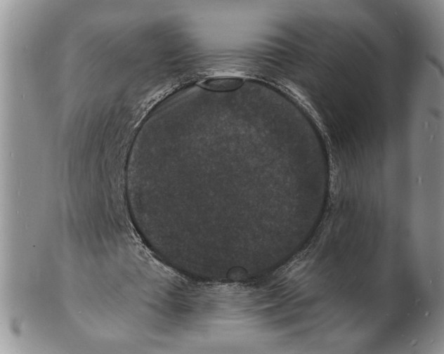 X0000102230385200808221313