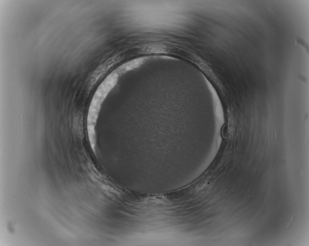 X0000102230386200808221313