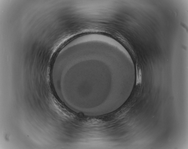 X0000102230387200808221313