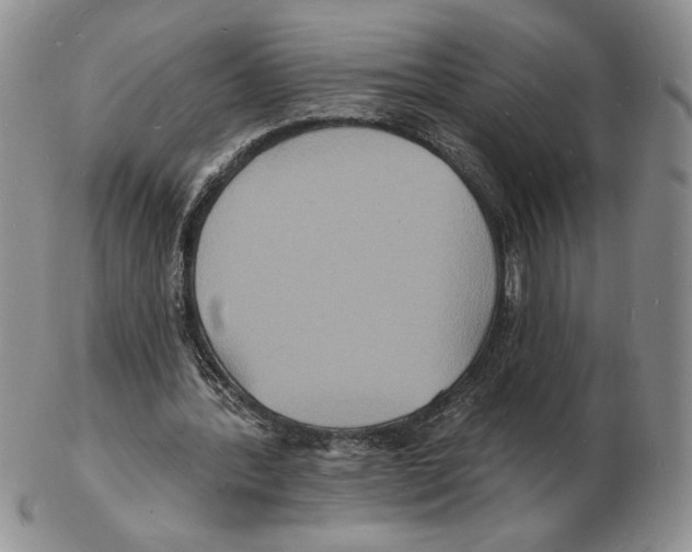 X0000102230388200808221313