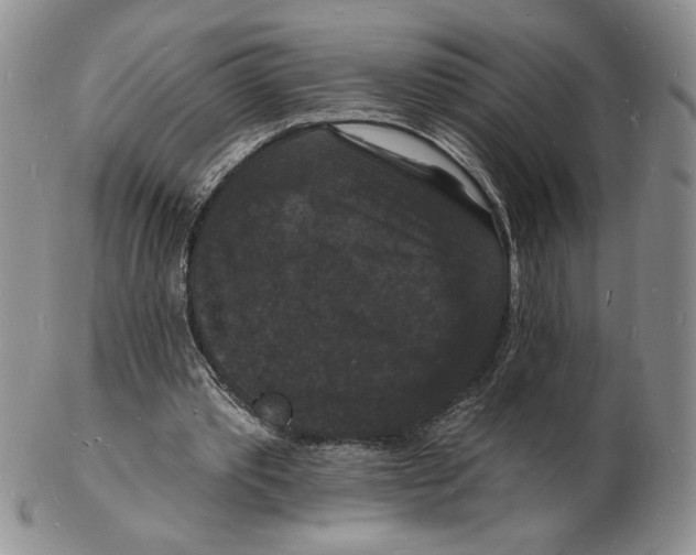 X0000102230389200808221313