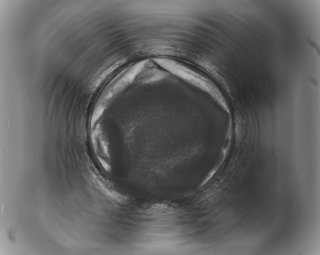 X0000102230390200808221313