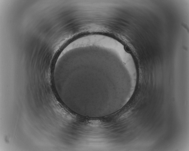 X0000102230391200808221313