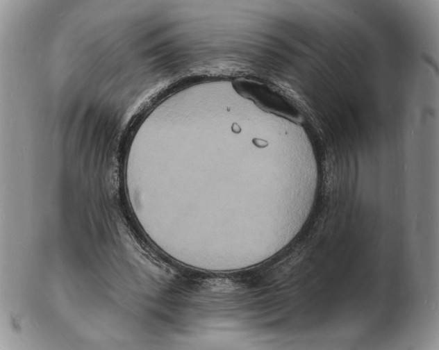 X0000102230392200808221313