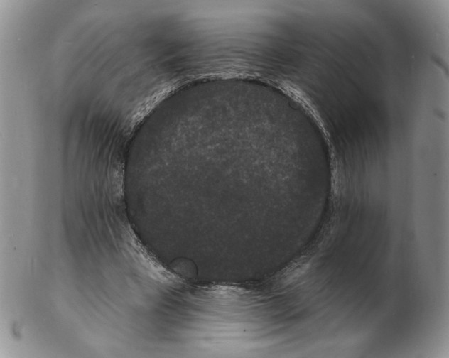 X0000102230393200808221313