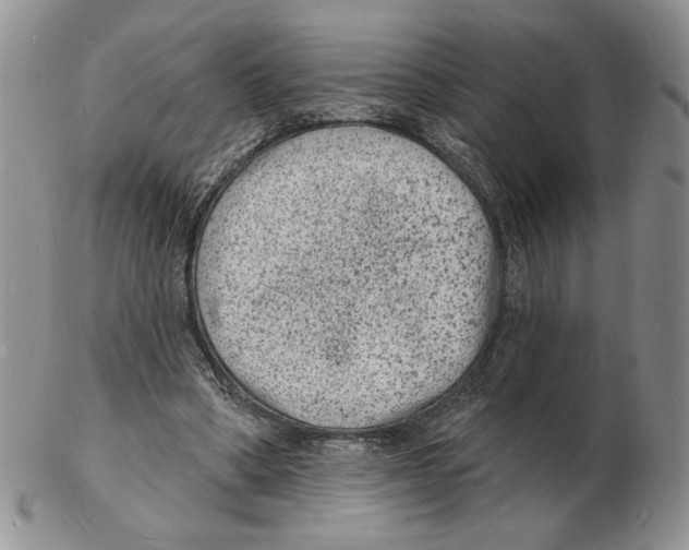 X0000102230394200808221313