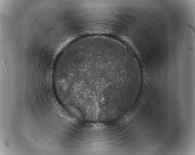 X0000102230395200808221313