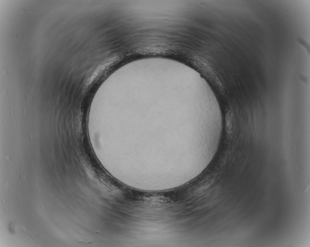 X0000102230396200808221312