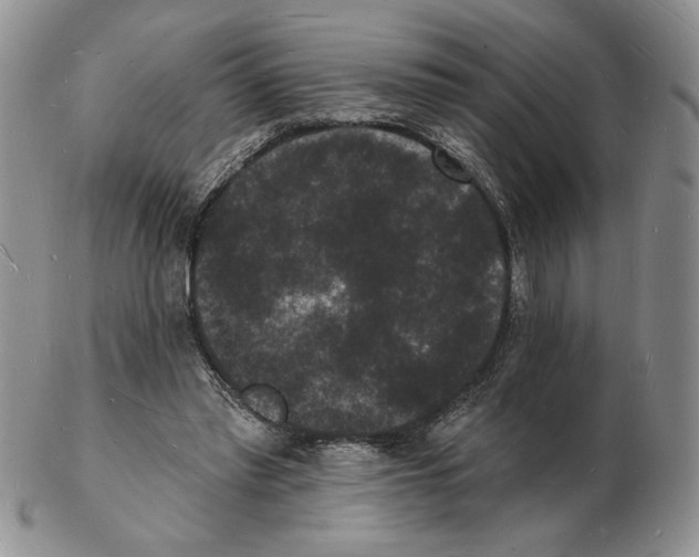 X0000102230397200808221312
