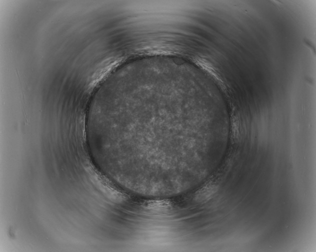 X0000102230398200808221312