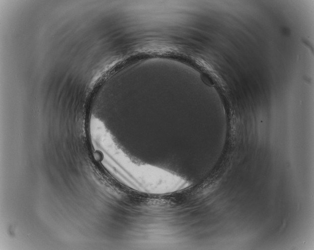 X0000102230399200808221312