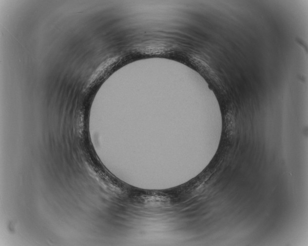 X0000102230400200808221312