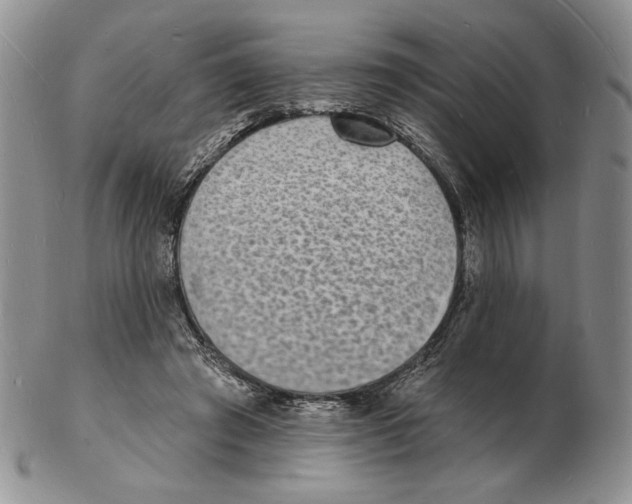 X0000102230401200808221312