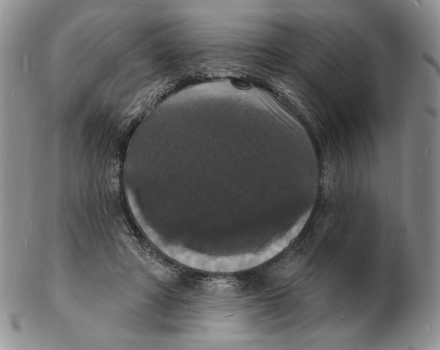 X0000102230402200808221312