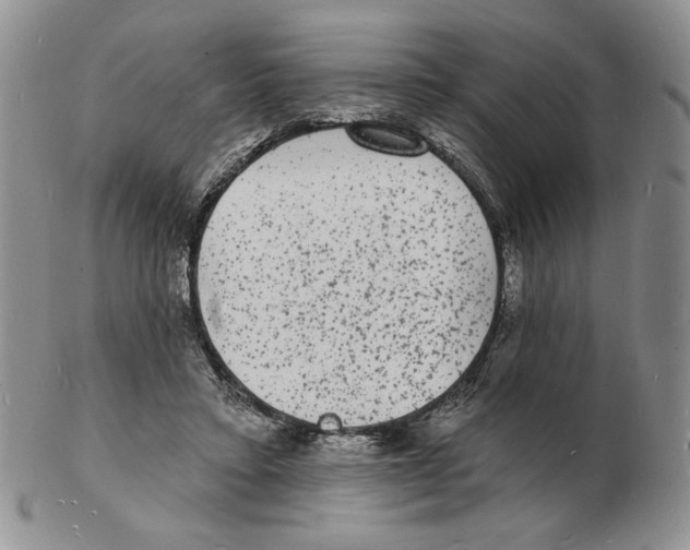 X0000102230403200808221312