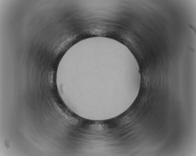 X0000102230404200808221312