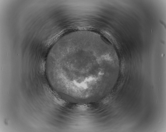 X0000102230405200808221312