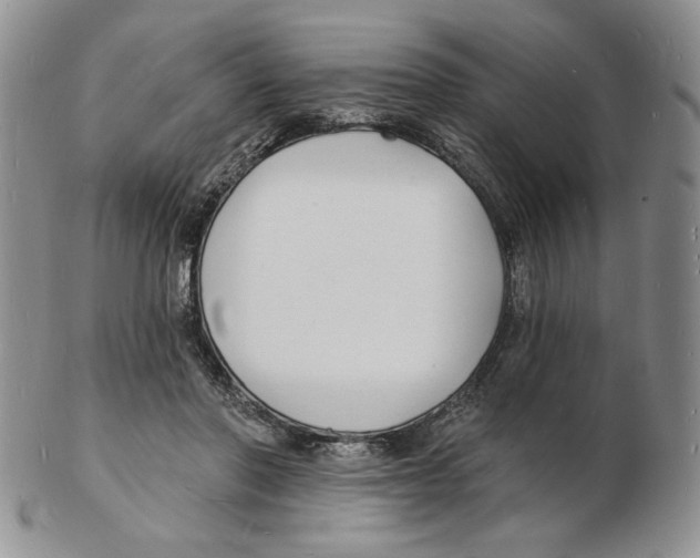 X0000102230406200808221312