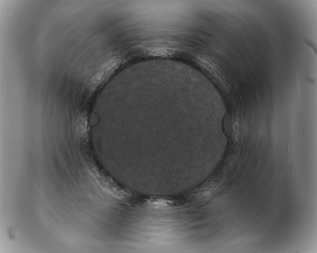 X0000102230407200808221312