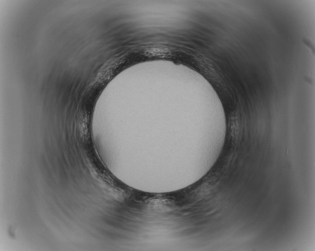 X0000102230408200808221312