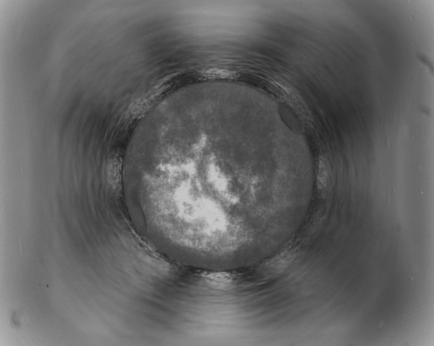 X0000102230409200808221312