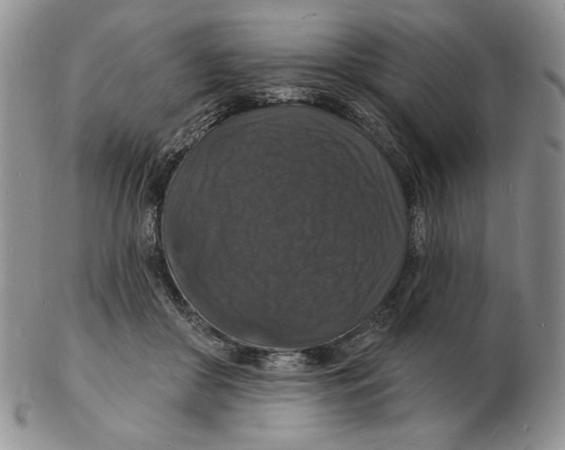 X0000102230410200808221312