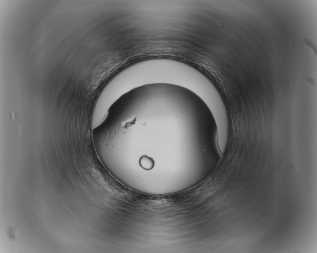 X0000102230411200808221312