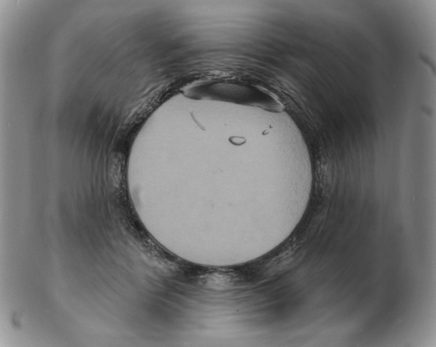 X0000102230412200808221312