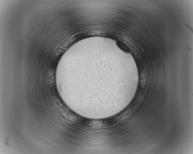 X0000102230413200808221312