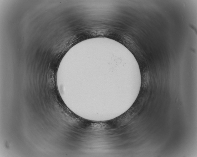 X0000102230414200808221312