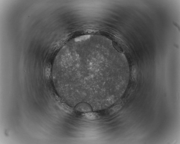 X0000102230417200808221312