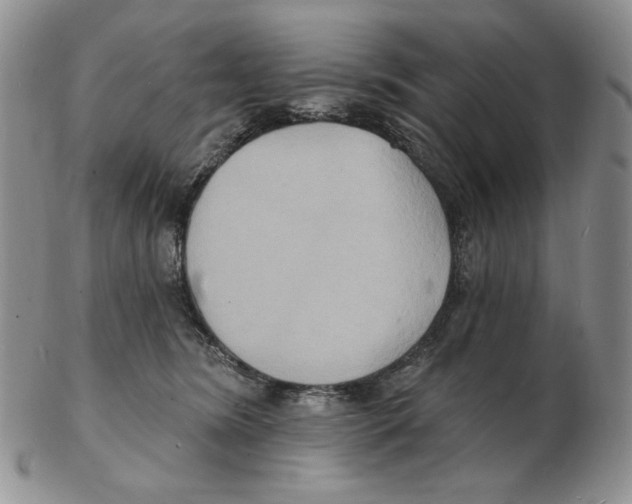X0000102230420200808221312