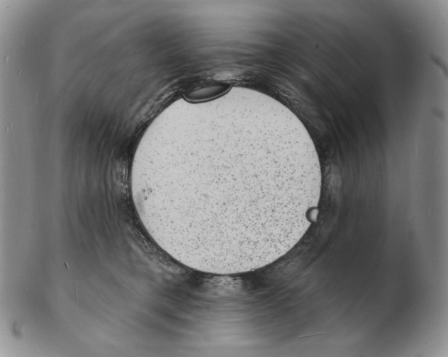 X0000102230421200808221312