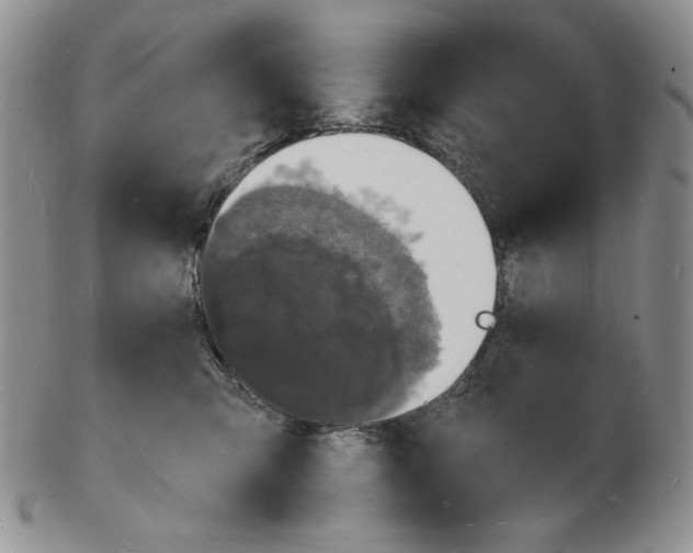 X0000102230423200808221312