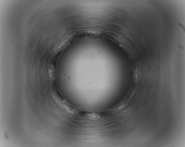 X0000102230424200808221312