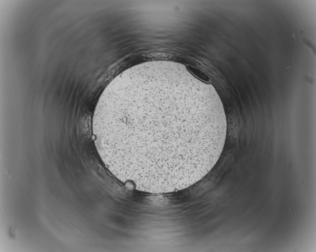 X0000102230425200808221312