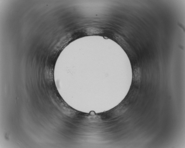X0000102230426200808221312