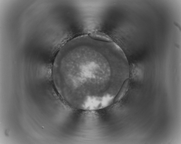 X0000102230427200808221312
