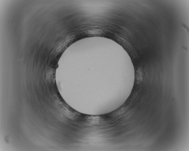 X0000102230428200808221312