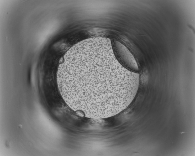 X0000102230429200808221312