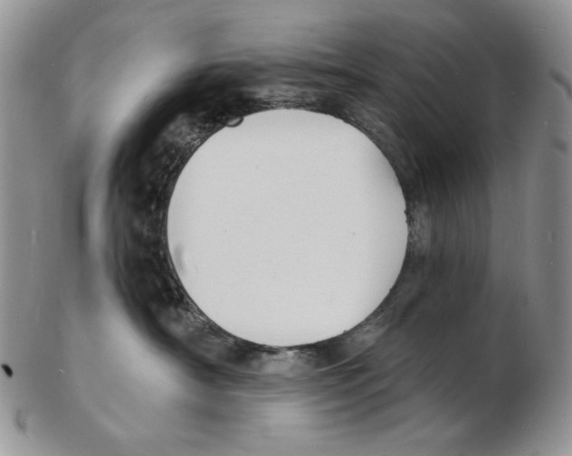 X0000102230430200808221312