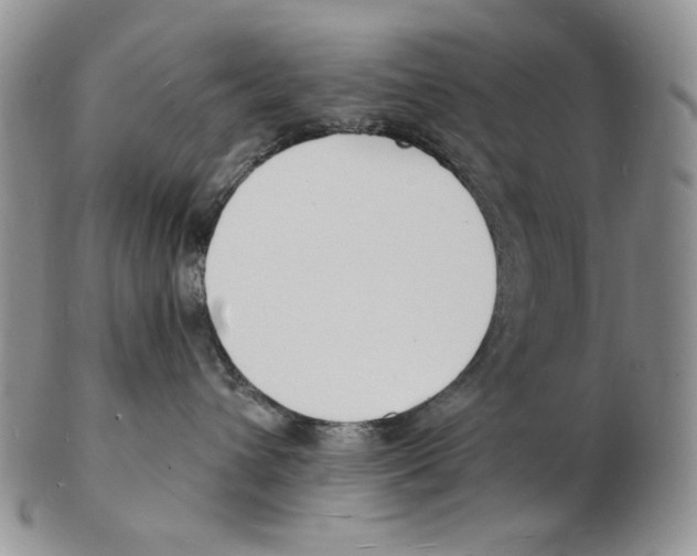 X0000102230432200808221312