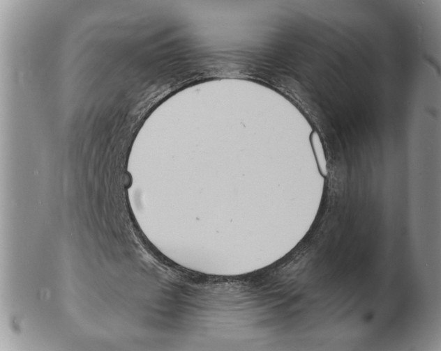 X0000102230433200808221311