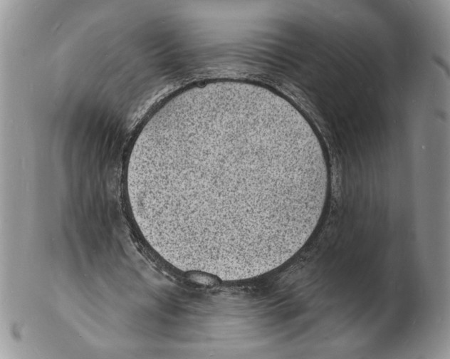 X0000102230434200808221311