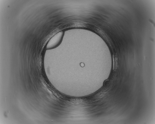 X0000102230435200808221311
