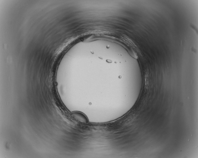X0000102230436200808221311