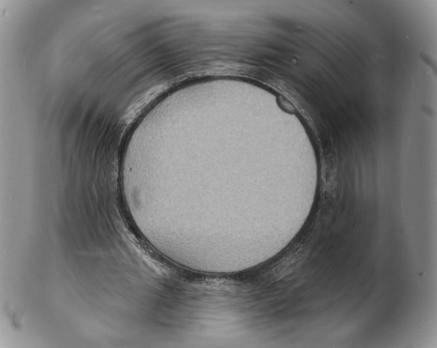 X0000102230437200808221311