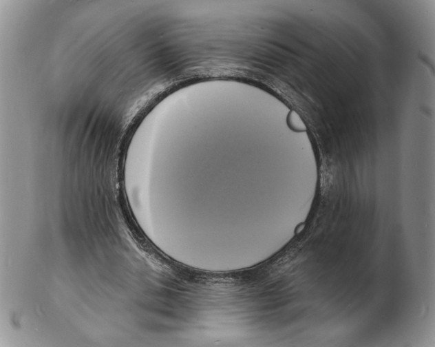 X0000102230438200808221311