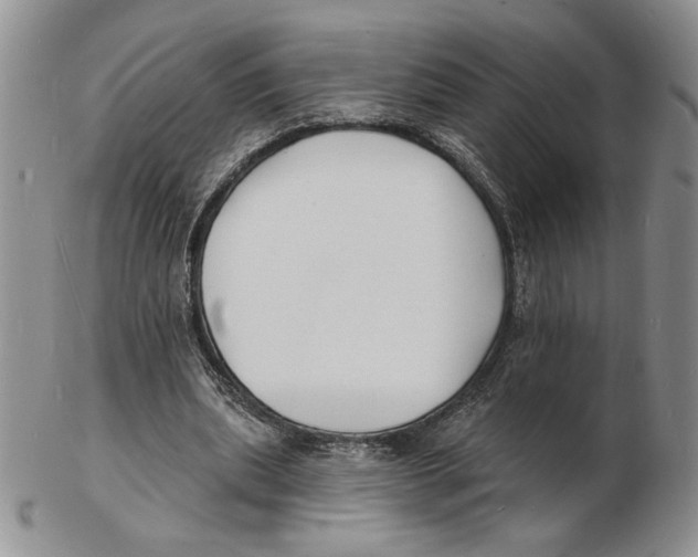 X0000102230439200808221311