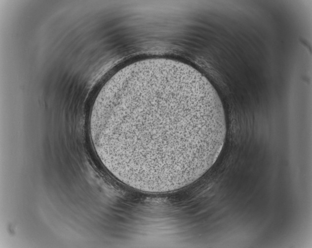 X0000102230440200808221311